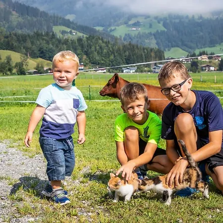 Apartment Fingerhof Flachau