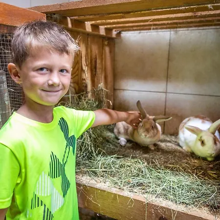 Fingerhof * פלאכאו