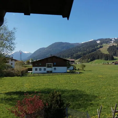 Fingerhof פלאכאו