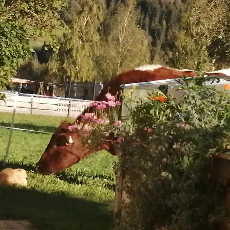 דירה Fingerhof *