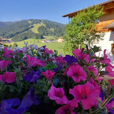 Fingerhof פלאכאו