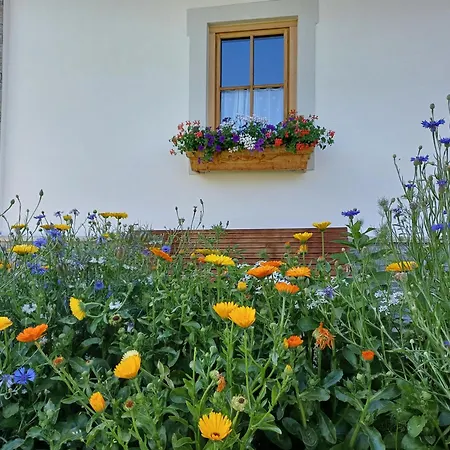 Appartement Fingerhof *