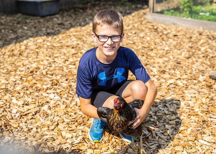Lejlighed Fingerhof Flachau