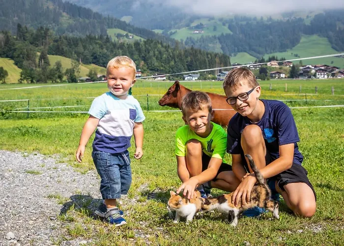 Lejlighed Fingerhof Flachau