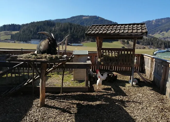 Fingerhof * Flachau