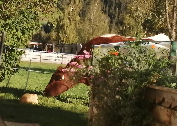 Διαμέρισμα Fingerhof *